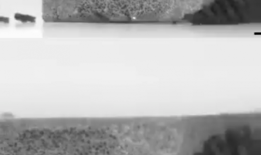 Korean scientists developed micro robots that is inspired by Ants.