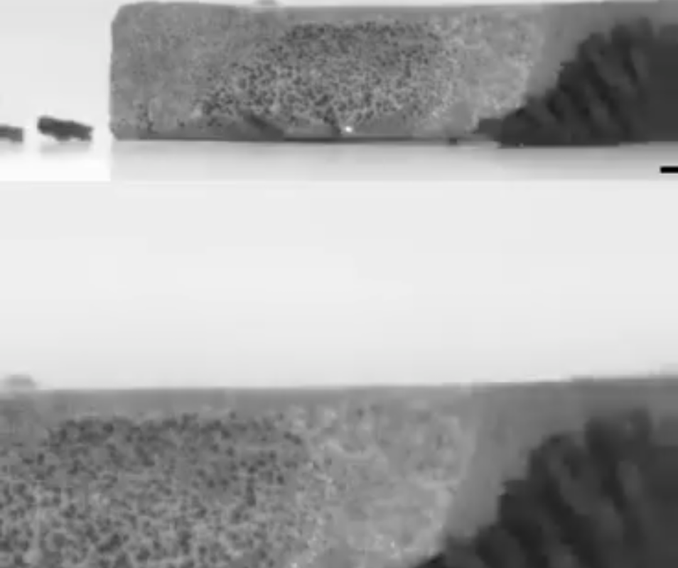 Korean scientists developed micro robots that is inspired by Ants.