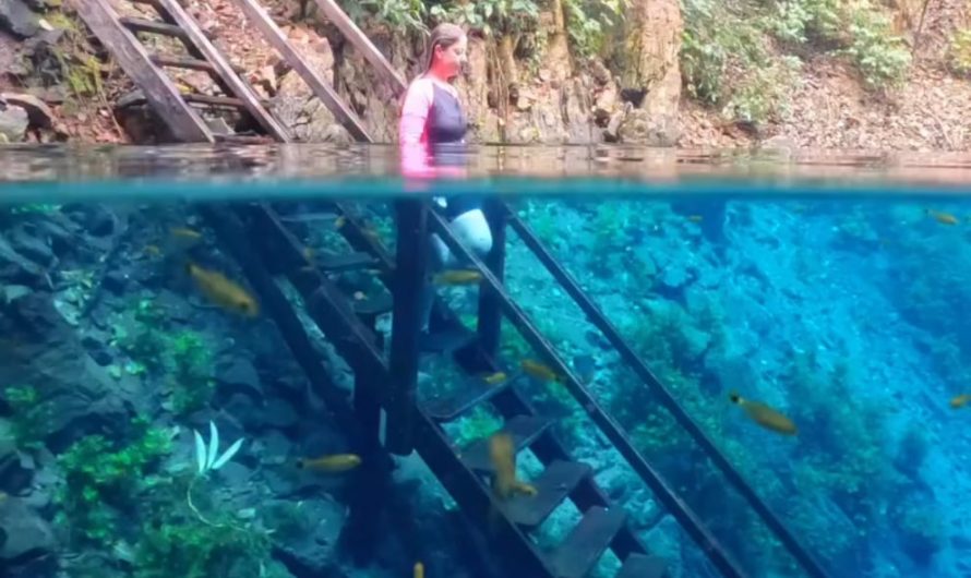 Lagoa Misteriosa , a massive flooded sinkhole located in Jardim, Brazil , is famous for its crystalline blue waters and extraordinary visibility.It is considered one of Brazil’s deepest submerged caves, with a water column exceeding 220 meters (722 feet). Its true depth remains a mystery.