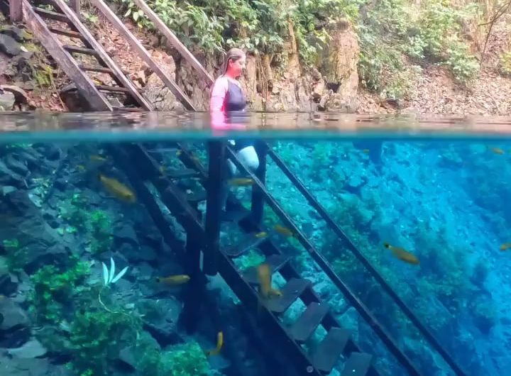 Lagoa Misteriosa is a captivating natural wonder featuring a deep sinkhole pool with remarkably clear blue water, making it perfect for activities like snorkeling and guided scuba diving.