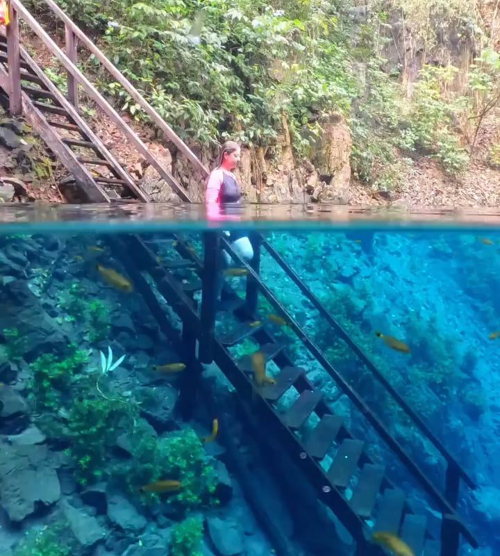 Lagoa Misteriosa is a captivating natural wonder featuring a deep sinkhole pool with remarkably clear blue water, making it perfect for activities like snorkeling and guided scuba diving.