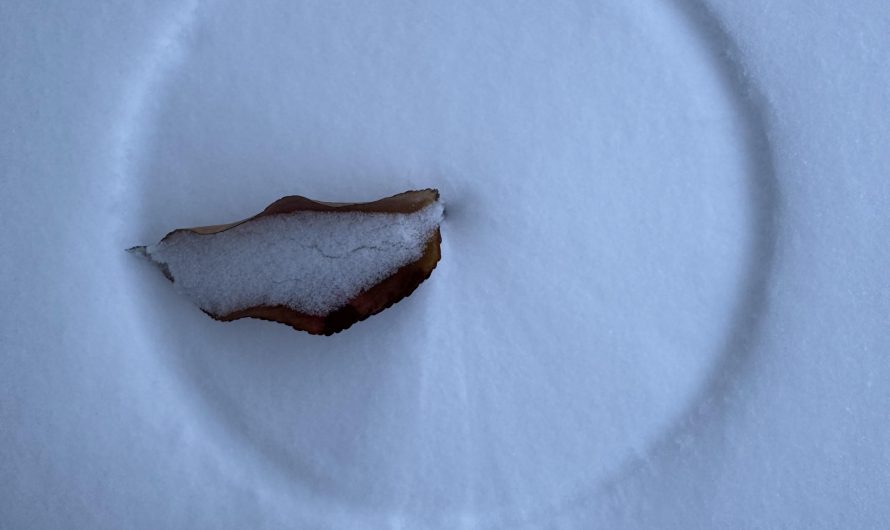 Leaf carves perfect circle in snow spinning from wind (OC)