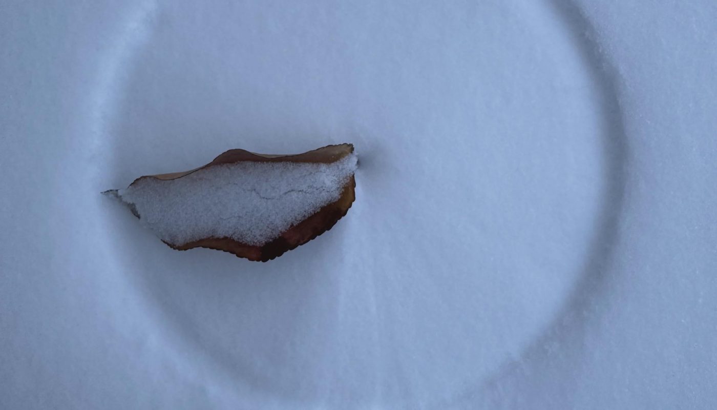 Leaves carves a perfect circle on the snow due to the wind.