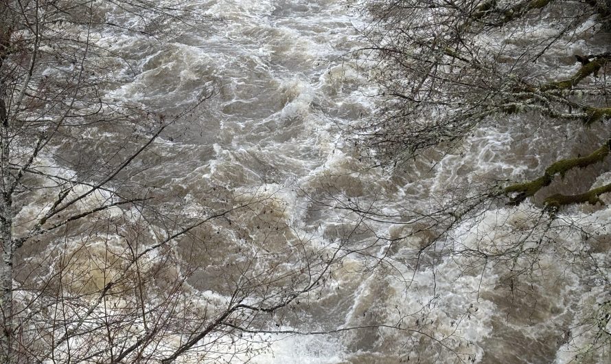 “Little” White Salmon River in Washington is not so little today.