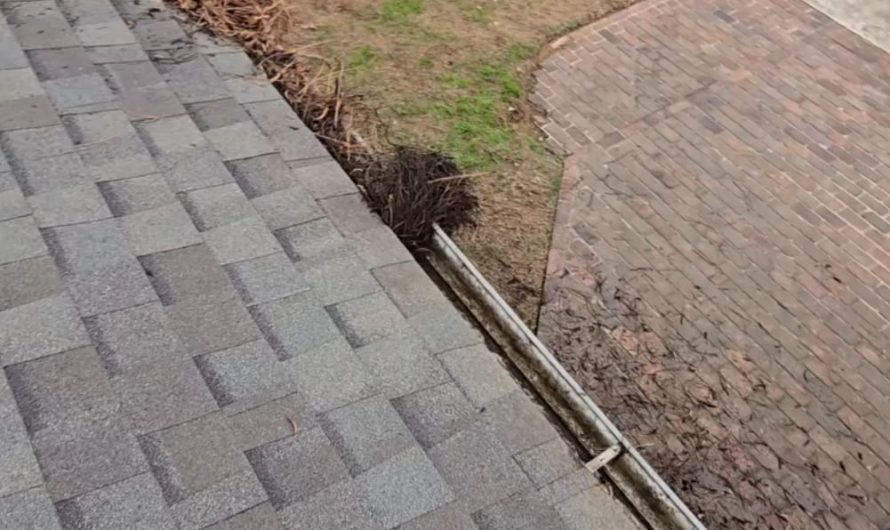 Little bit of gutter cleaning