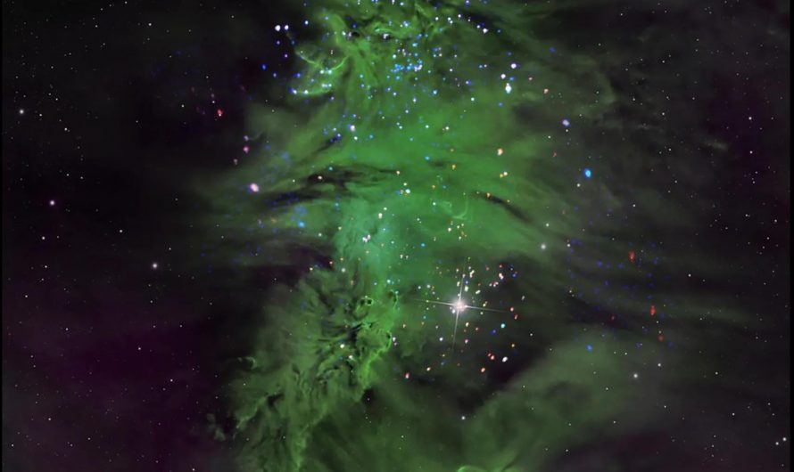 Located about 2,500 light-years from Earth, NGC 2264 is a cluster of young stars between one and five million years old. The stars appear as blue and white lights surrounded by swirls of gas—the “pine needles” of the tree—with green representing light in the visible spectrum. 🎄🎅