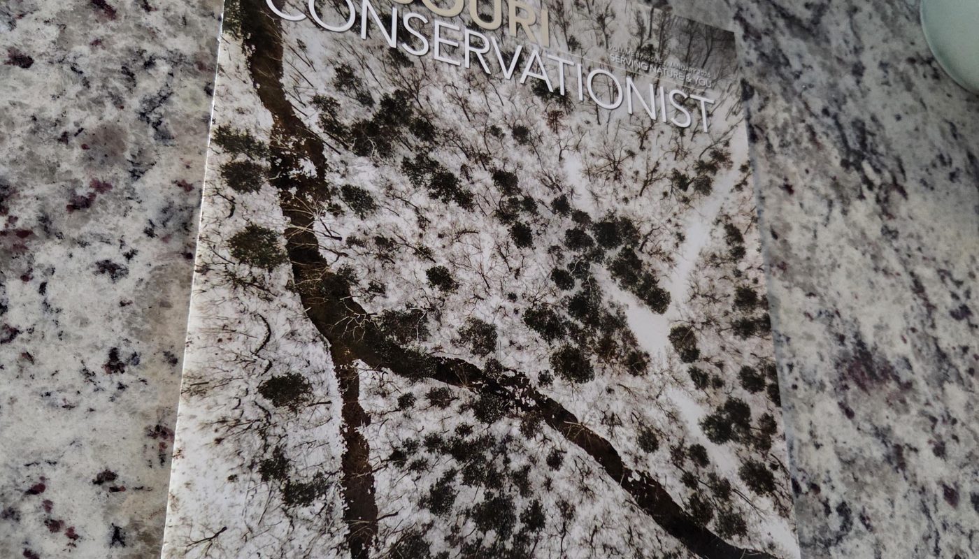 Magazine blends in with my countertop