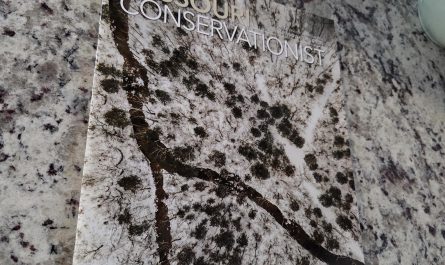 Magazine blends in with my countertop