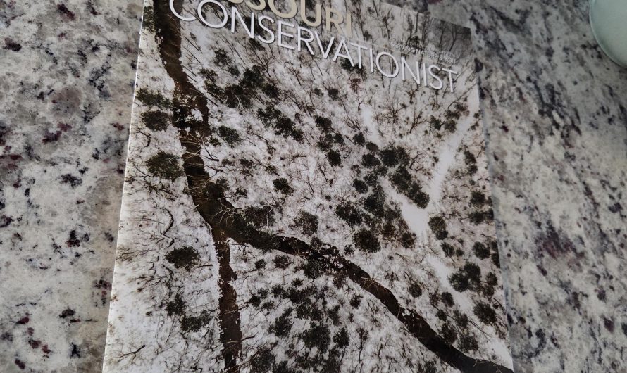 Magazine blends in with my countertop