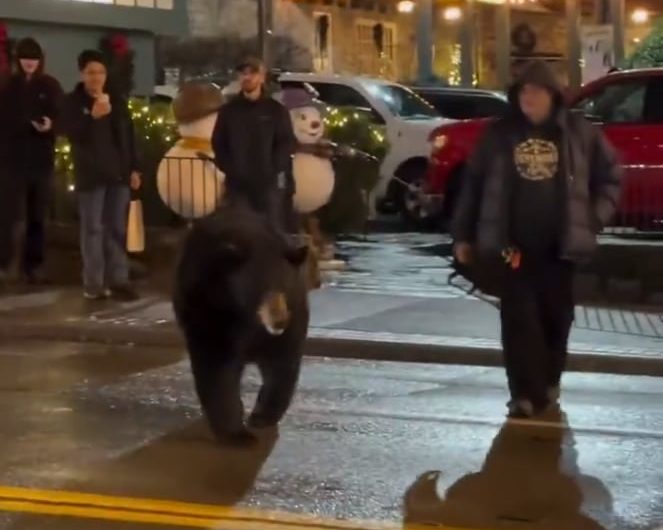 Man distracted the bear to protect the kids