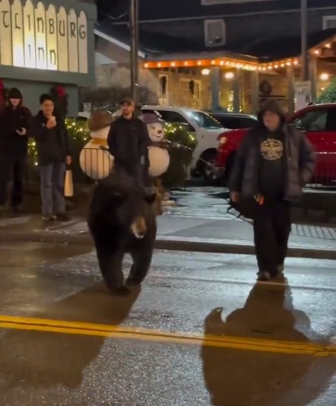 Man distracted the bear to protect the kids