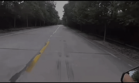 Man finds abandoned puppy by the road, take it home