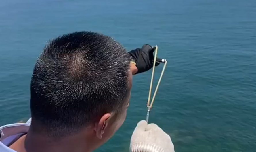 Man invents wrist-fired fishing slingshot that casts like Spider-Man.