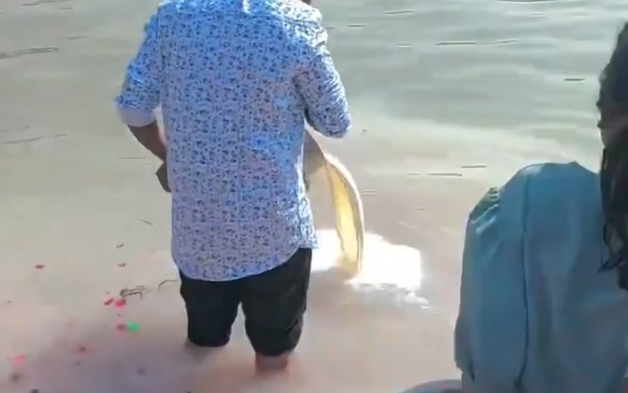 Man performs milk-offering ritual in the Ganges river in India while poor hungry children try to collect it to drink.