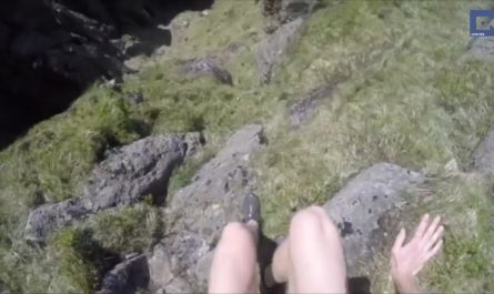 Man rescues crying lost lamb on a steep mountain and reunites it with its family