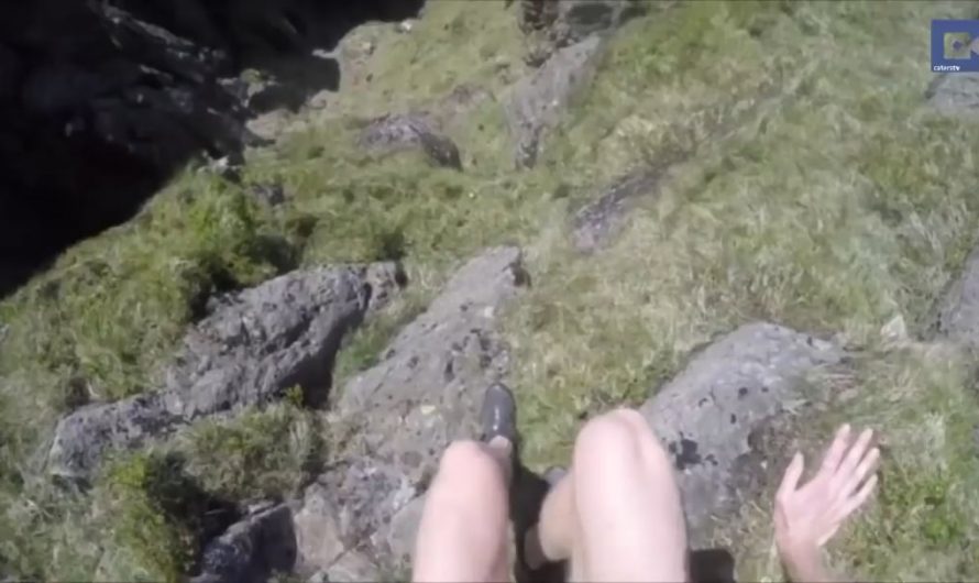 Man rescues crying lost lamb on a steep mountain and reunites it with its family