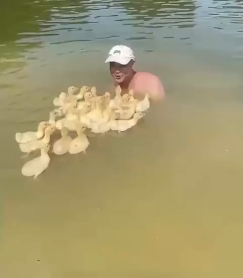 Man tames a large amount of wee birdies