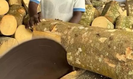 Matchstick making in India