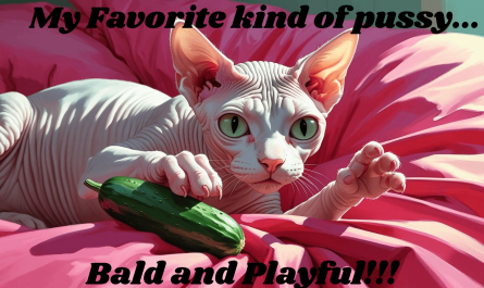 Meme about my Favorite kind of Pussy!!!