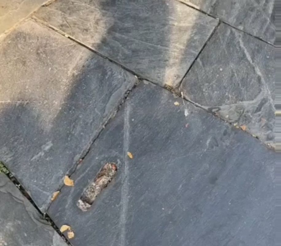 Mesmerizing shiny dream catchers