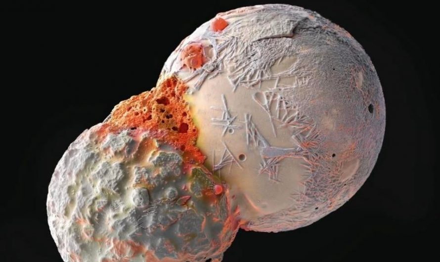 Microscopic dust particles under an electron microscope resembles cosmic collisions.