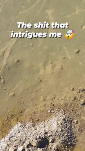 Mud ripples in a puddles