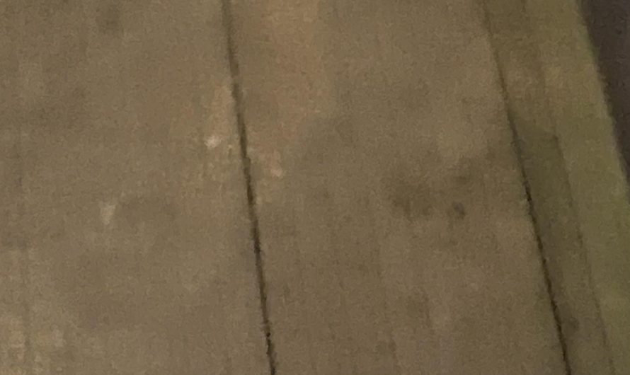 My boyfriend wants to break up with me because I booked a solo trip. Am I in the wrong?