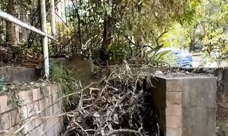 Now these stairs can be used again