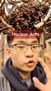 Nuclear Ants!