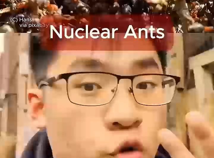 Nuclear Ants!