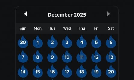 (OC) my Kindle reading activity on Xmas day