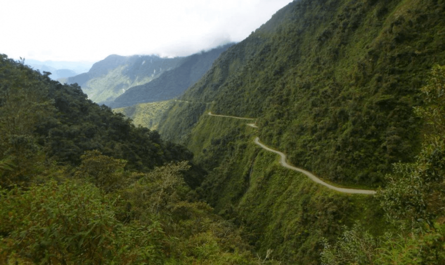 Often cited as the world’s most dangerous road, this is Bolivia’s North Yungas “Death Road”, a narrow, unguarded mountain route with sheer drops where an estimated 200–300 people were killed per year before 2006