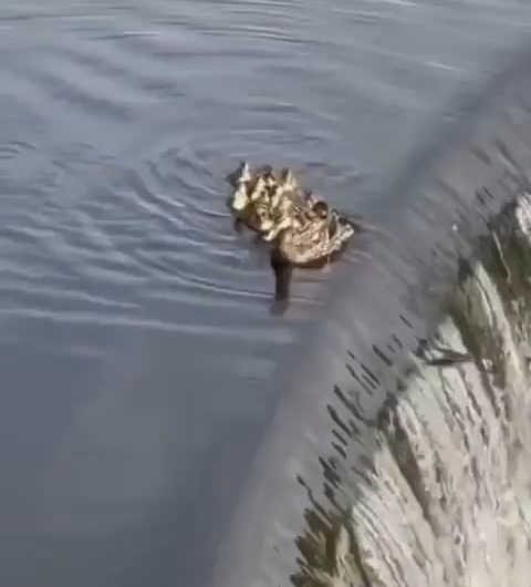 One for all, all for one