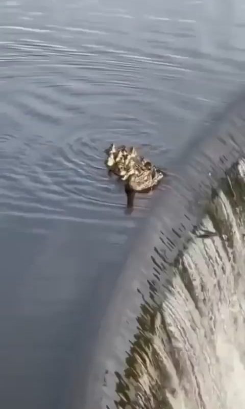 One for all, all for one