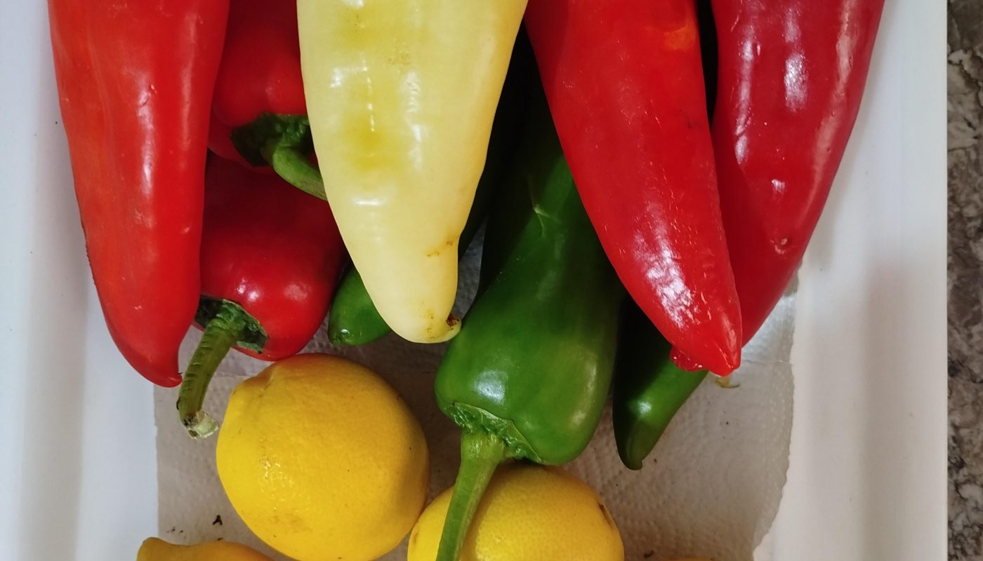 One of my peppers decided to opt out of the pigment process