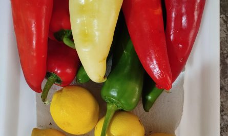 One of my peppers decided to opt out of the pigment process