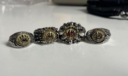 Ornaments made from the chitinous sucker rings of the giant Humboldt squid (Dosidicus gigas).