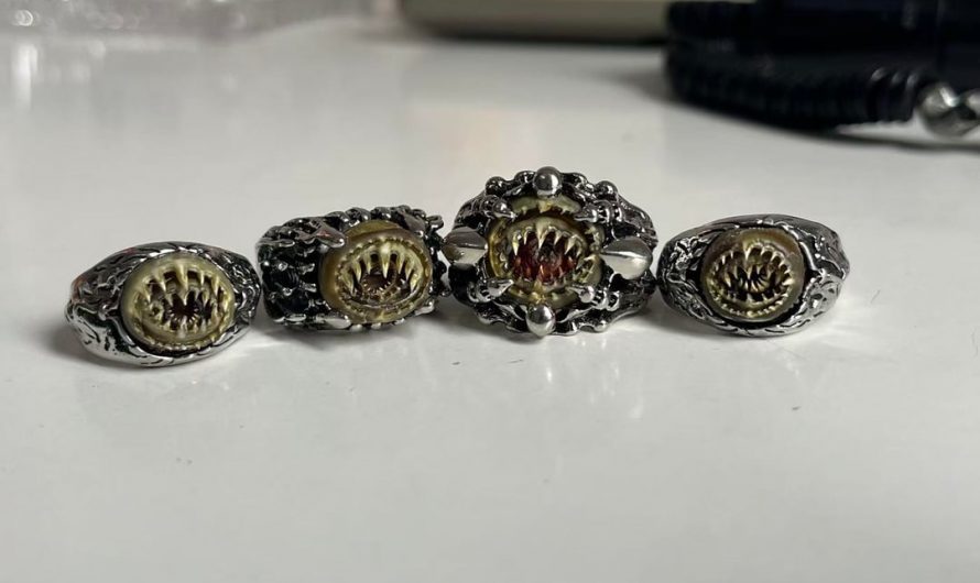 Ornaments made from the chitinous sucker rings of the giant Humboldt squid (Dosidicus gigas).