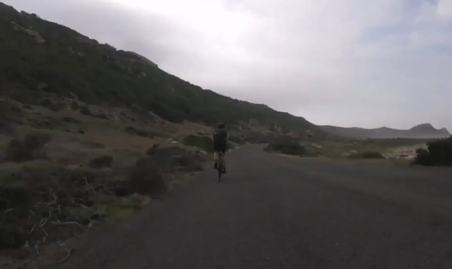 Ostrich chasing cyclists. I had no idea they could run this fast