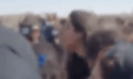 “Our Enemy is here! They lie when they say it is US!”