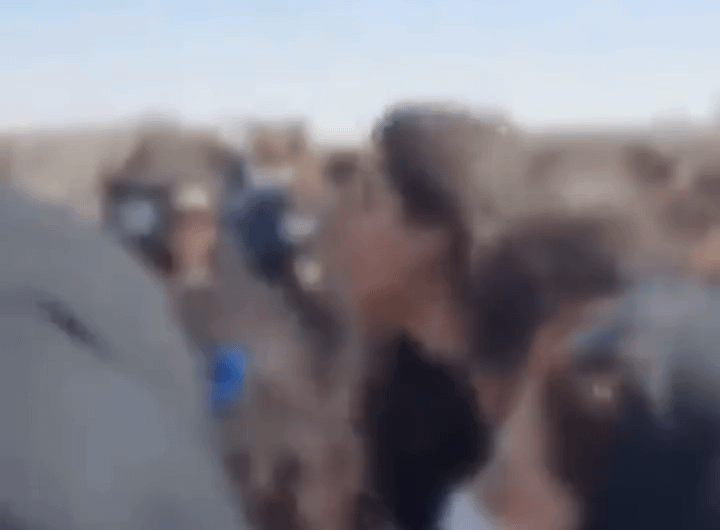 “Our Enemy is here! They lie when they say it is US!”