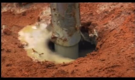 Over the course of 3 days scientists pumped 10 tons of cement into an abandoned ant hill. After weeks of digging, the colony’s intricate & impressive structure is revealed. 🐜