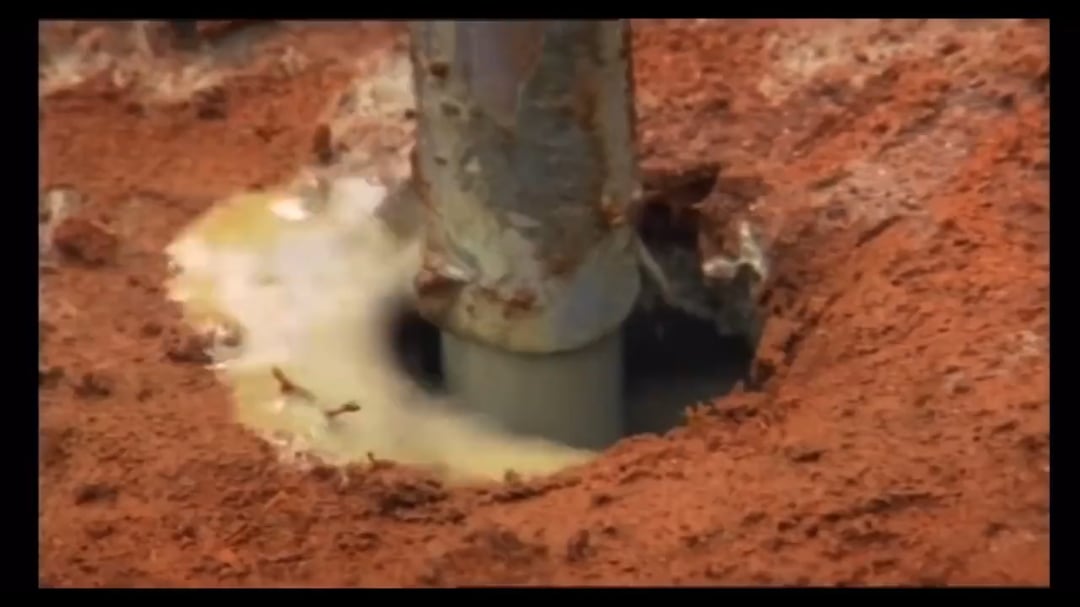 Over the course of 3 days scientists pumped 10 tons of cement into an abandoned ant hill. After weeks of digging, the colony’s intricate & impressive structure is revealed. 🐜