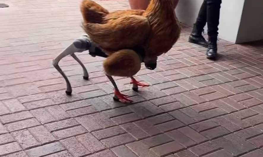 PETA using a robotic dog dressed as a chicken to discourage meat eating