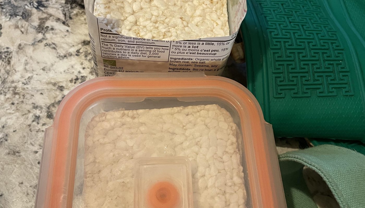 Packing a snack in the perfect container
