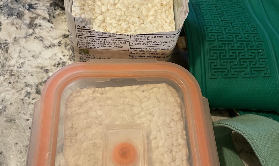 Packing a snack in the perfect container