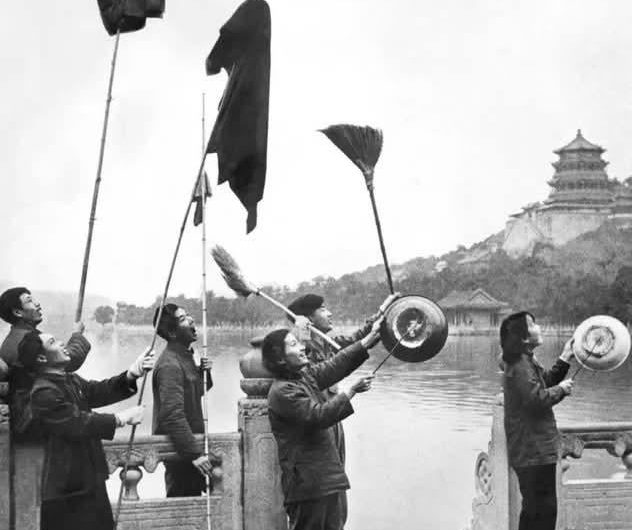 People scaring sparrows during China’s Four Pests Campaign (1958–1962), which targeted rats, flies, mosquitoes, and sparrows—and later contributed to ecological imbalance and famine.