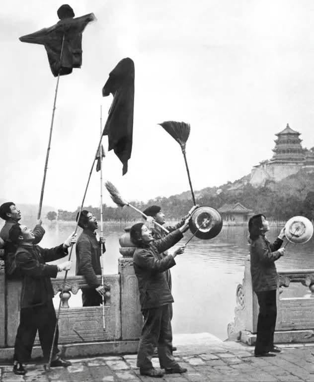 People scaring sparrows during China’s Four Pests Campaign (1958–1962), which targeted rats, flies, mosquitoes, and sparrows—and later contributed to ecological imbalance and famine.