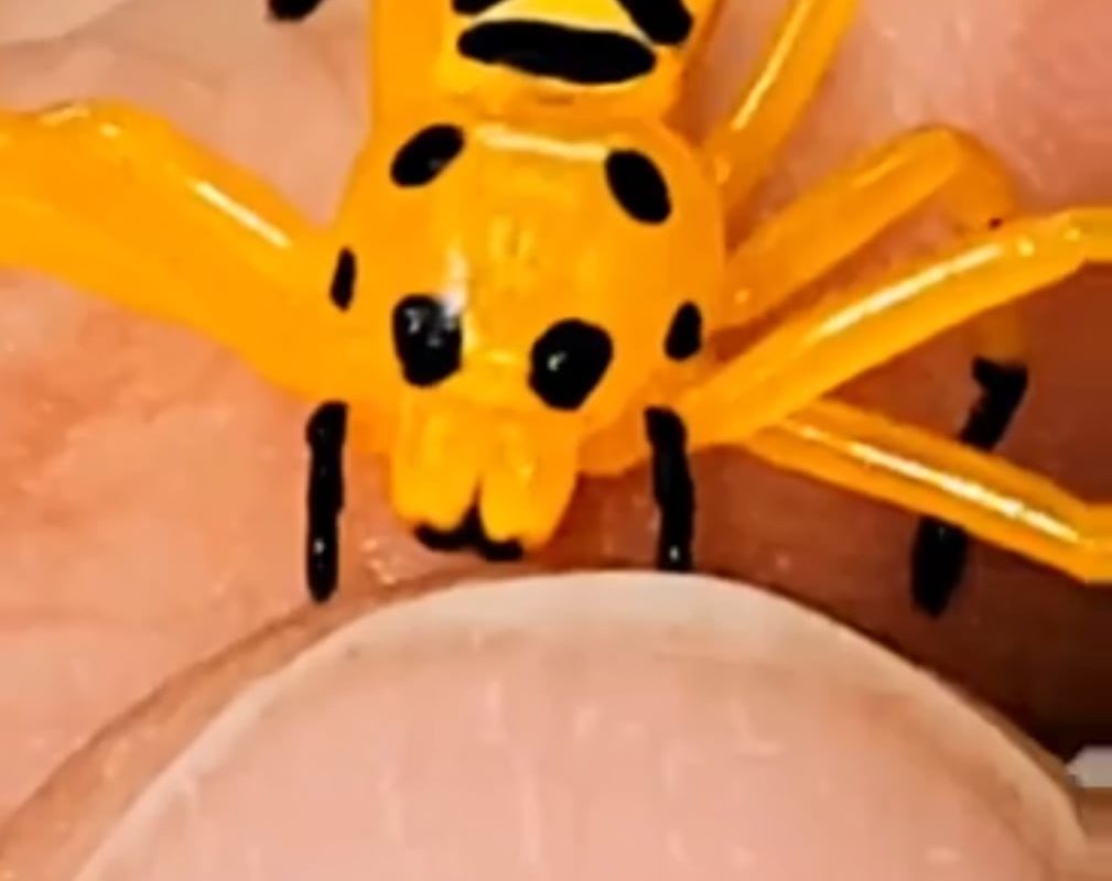 Pikachu! I choose you!