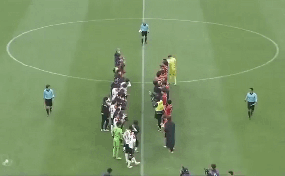 Player takes off his shirt so that a retiring referee can give him one more yellow card